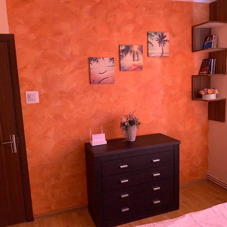 Vlad'S Apartment Târgu-Mureş 외부 사진
