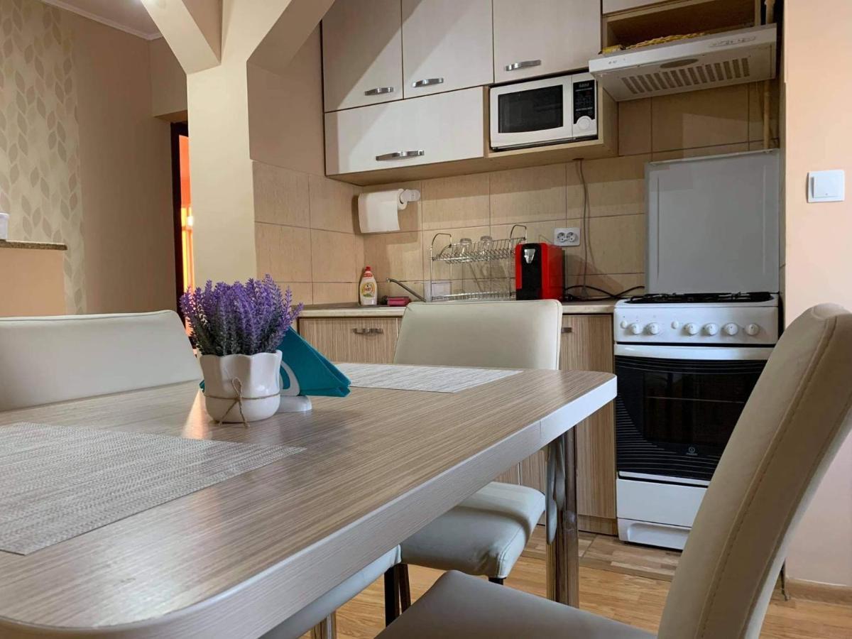 Vlad'S Apartment Târgu-Mureş 외부 사진