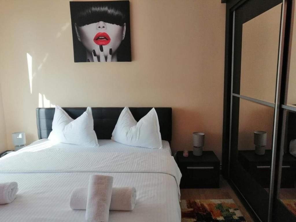 Vlad'S Apartment Târgu-Mureş 외부 사진